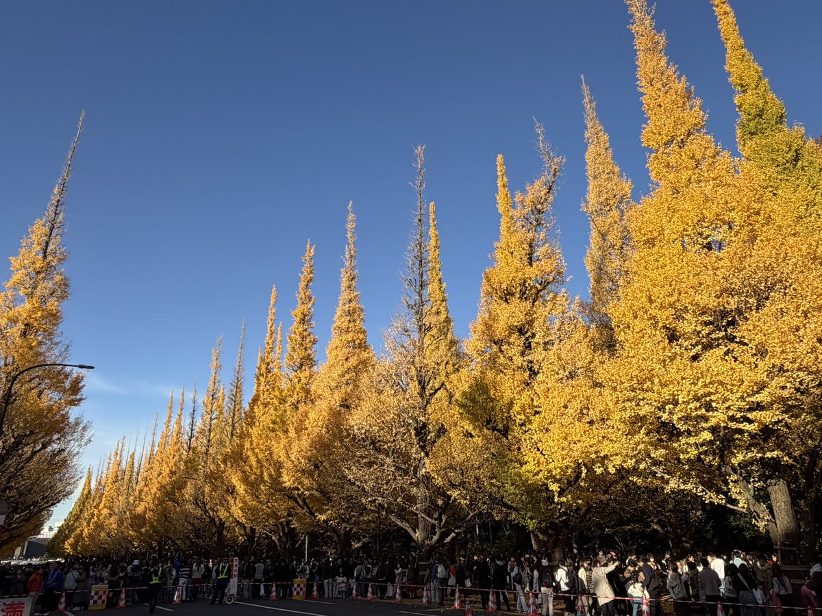 ぽてち (@poteti0980) on Twitter photo 