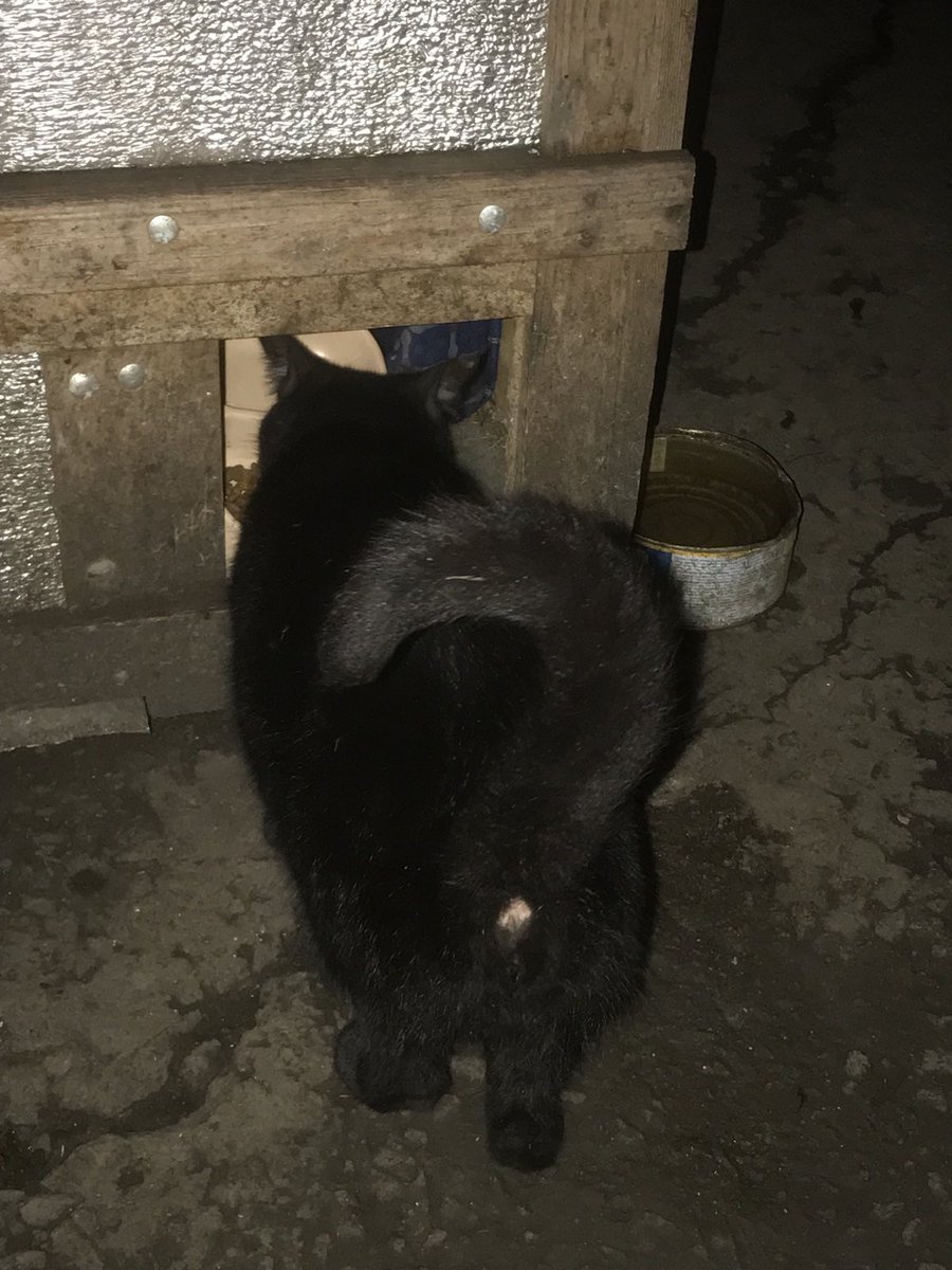 Доброго ранку