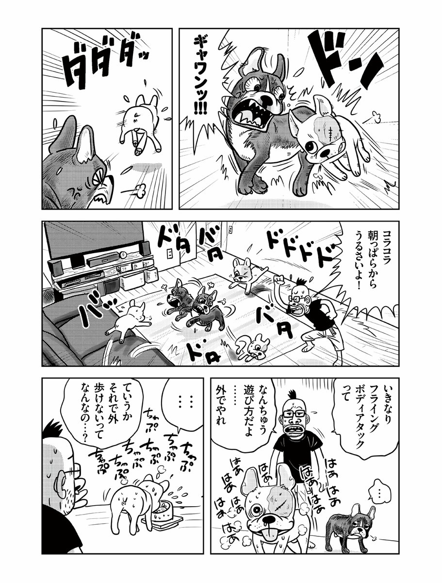 mangaspa_jp's tweet image. ＼#マンガSPA! 注目連載🐶 ／
 
『マキバオー』シリーズなどで知られる人気漫画家・つの丸先生（@ge_ha_mob）のエッセイ漫画『The Dogfather ドッグファーザー』本日更新の5話をチラ見せ👀
 
続きはコチラから👇
mangaspa.nikkan-spa.jp/series/4e6a3d9…