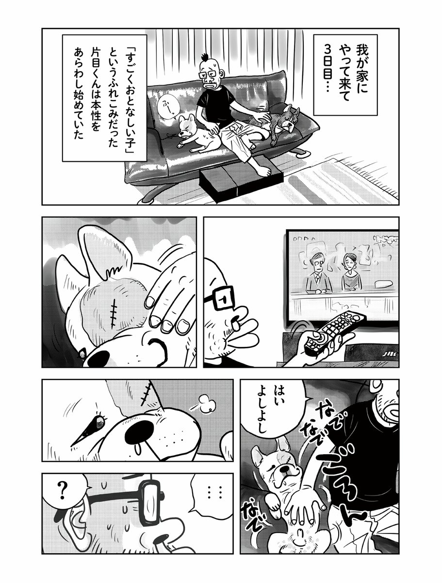 mangaspa_jp's tweet image. ＼#マンガSPA! 注目連載🐶 ／
 
『マキバオー』シリーズなどで知られる人気漫画家・つの丸先生（@ge_ha_mob）のエッセイ漫画『The Dogfather ドッグファーザー』本日更新の5話をチラ見せ👀
 
続きはコチラから👇
mangaspa.nikkan-spa.jp/series/4e6a3d9…