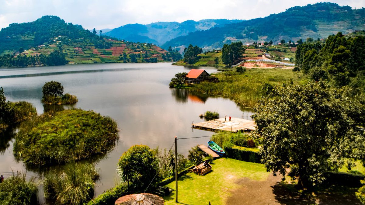 Owente. K tweet media