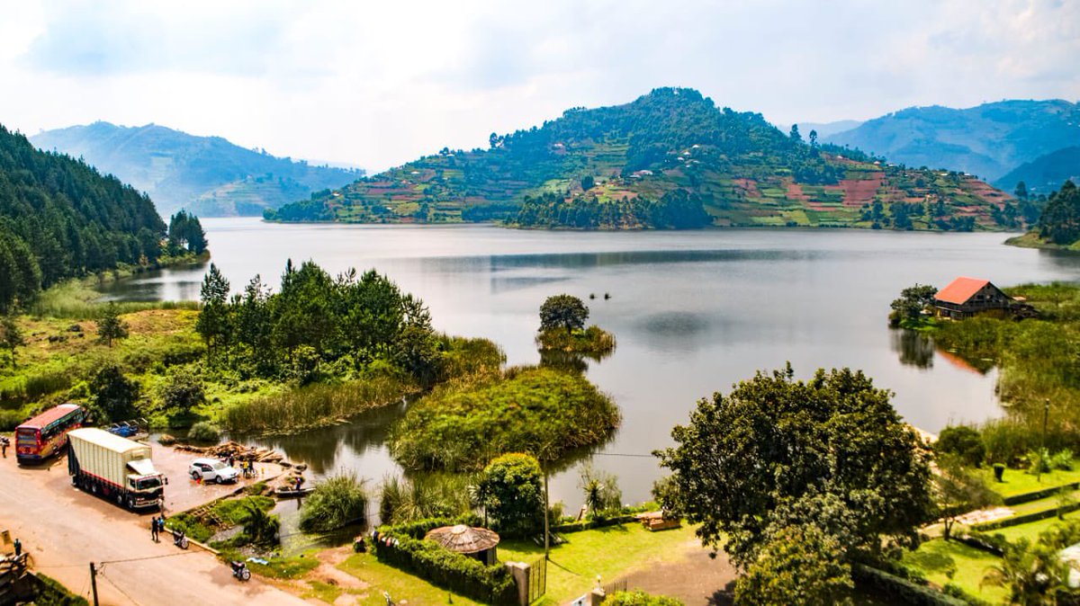 Owente. K tweet media