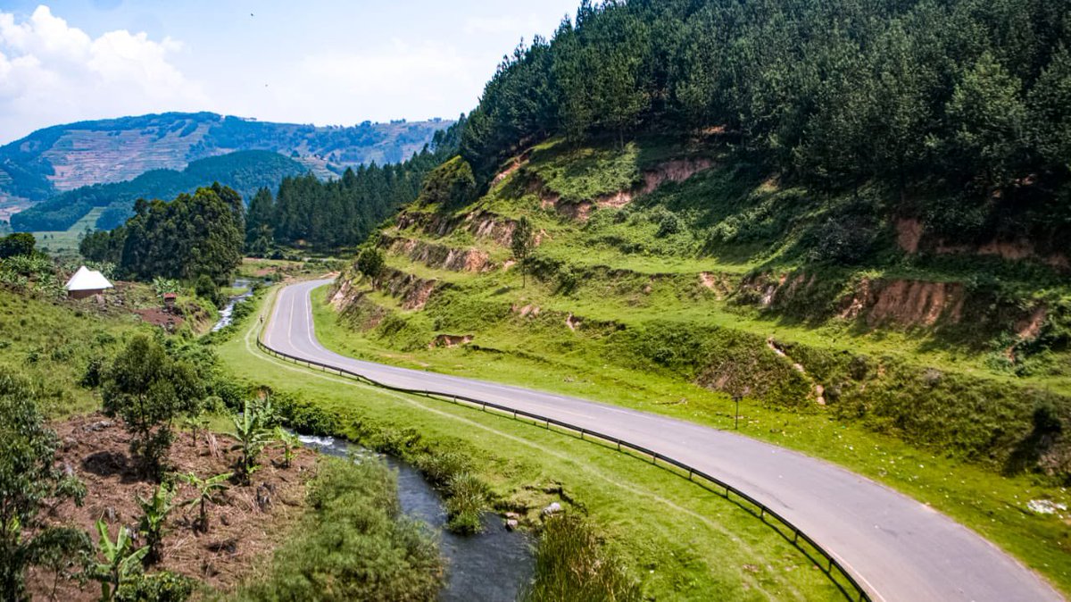 Owente. K tweet media