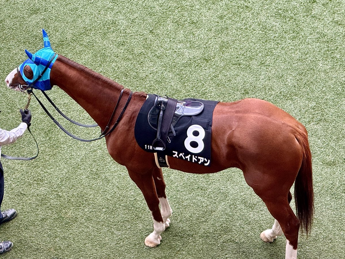 YMHR (@airgroove38415) / Posts / X