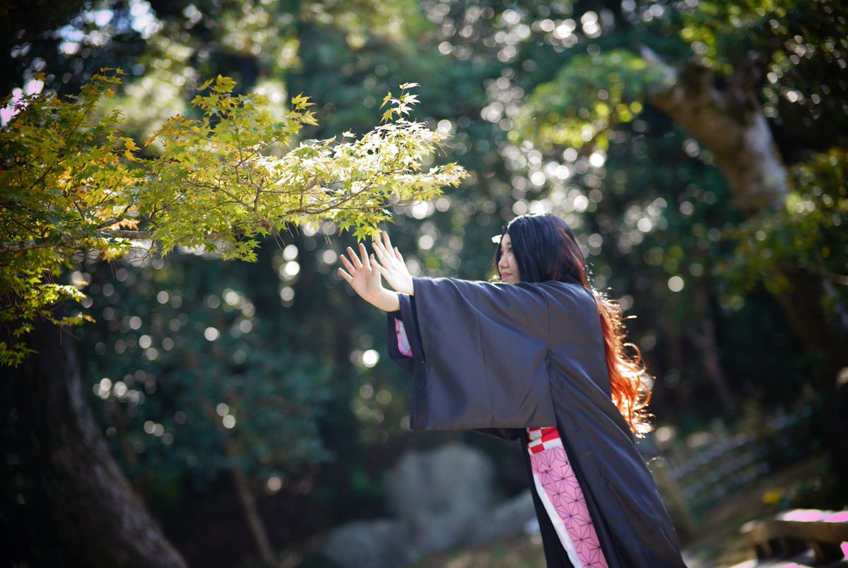 miyomi1111222's tweet image. Cosplay/竈 門禰 豆子

        ┈┈┈もみじ┈┈┈┈

 #南国そもそも鬼不在の鬼滅併せ