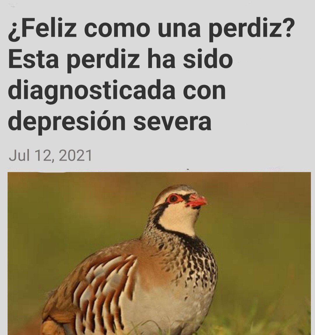 DrippySoap's tweet image. Lunes!!!