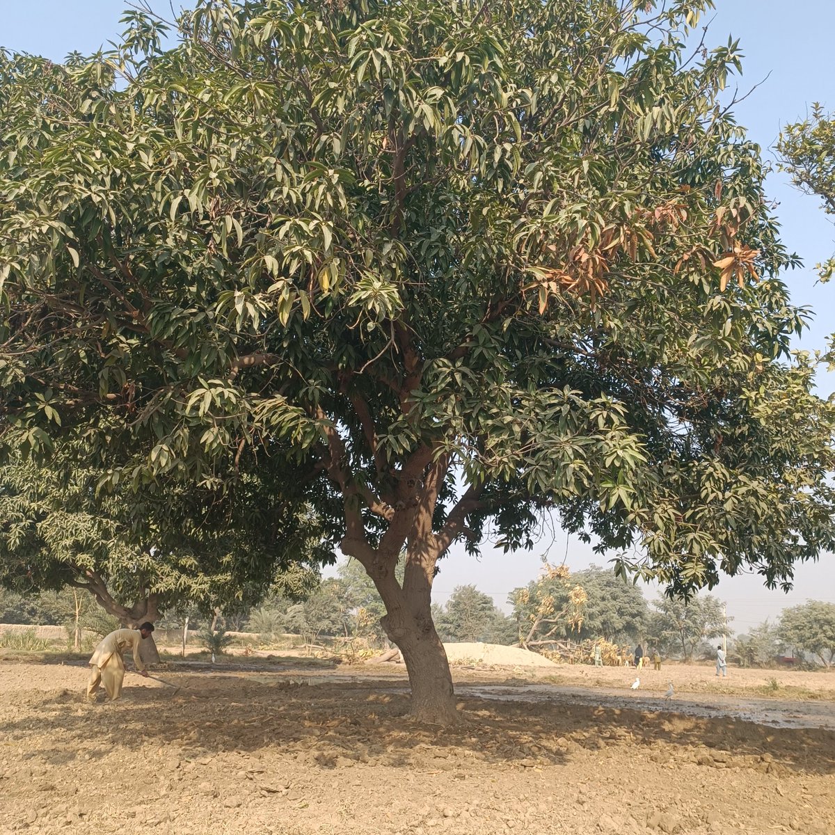 SashaTutulov's tweet image. #BACKUP