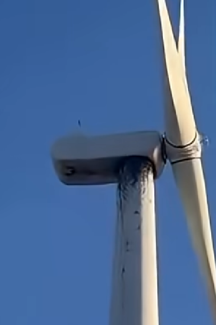 The "green energy" scam summed up in one photo: