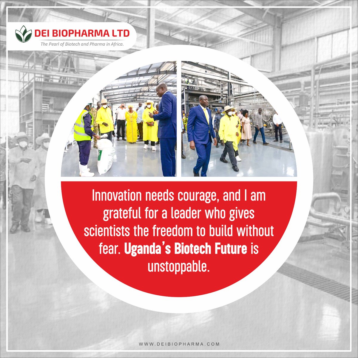 Dei BioPharma tweet media