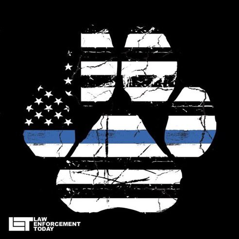 <a href="/MrPitbull07/">Mr PitBull</a>