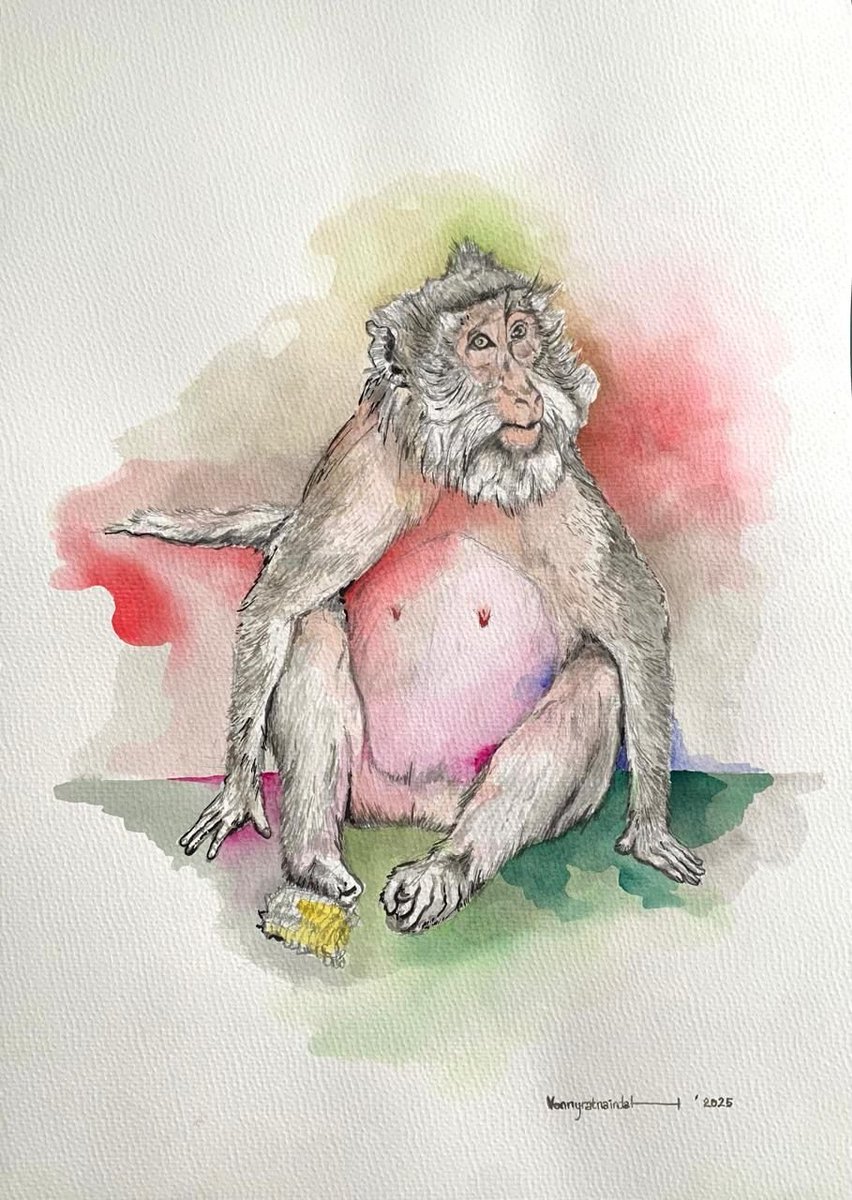 XHIndonesia's tweet image. Feature: Monyet dalam Cat Air, Duka Pandemi Gugah Empati facebook.com/share/p/1AFsom…