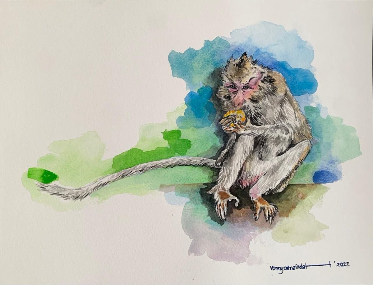 XHIndonesia's tweet image. Feature: Monyet dalam Cat Air, Duka Pandemi Gugah Empati facebook.com/share/p/1AFsom…