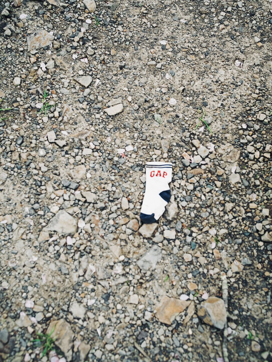 daiphotodai's tweet image. #SIGMABF