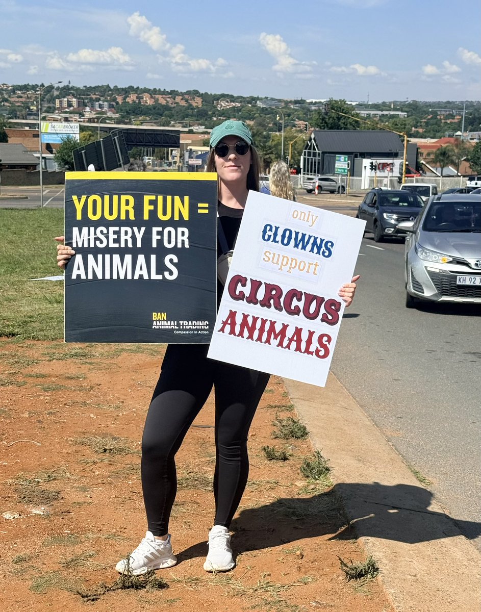 #BANANIMALCIRCUSES 

#BANANIMALCIRCUSES

A BIG thank you 🙏 to everyone who took a stand against the exploitation of animals in circuses, where wild creatures are forced to perform unnatural tricks for human entertainment.

Every ticket purchased is a vote for animal suffering!