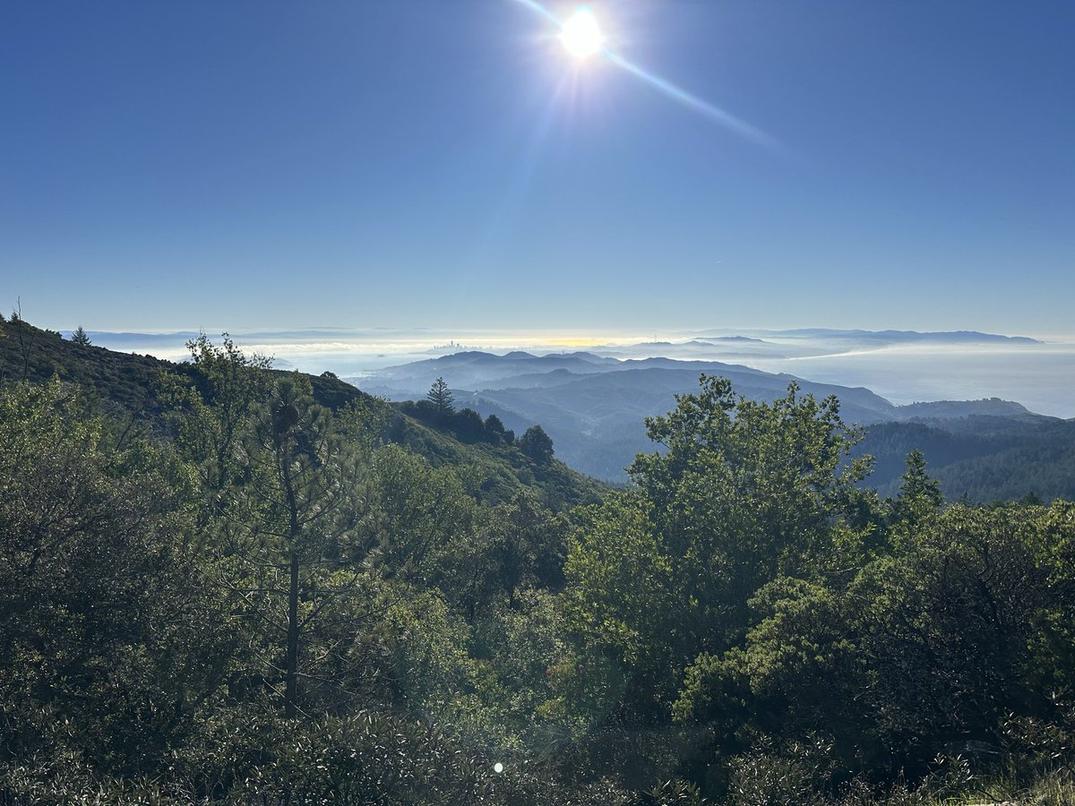 Jon Elvekrog tweet media