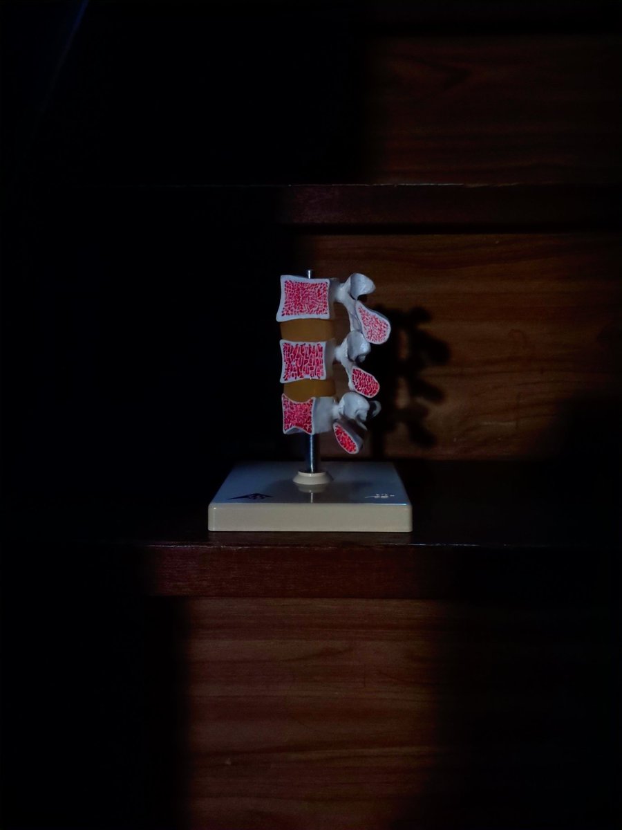 本日最終日のみ参加します。
普段は販売していないヤバめの物を厳選して持っていきます。

「closed」 vol.14 in Tokyo
～Deep Underground Market～
<a href="/closed_so_deep/">「closed」～Deep Underground Market～</a> 

@'HoiPoi'
東京都杉並区高円寺南4丁目20-4

11/24(月・祝) 18:00〜22:00
入場料 900円 + 1ドリンクオーダー(600円) 〜