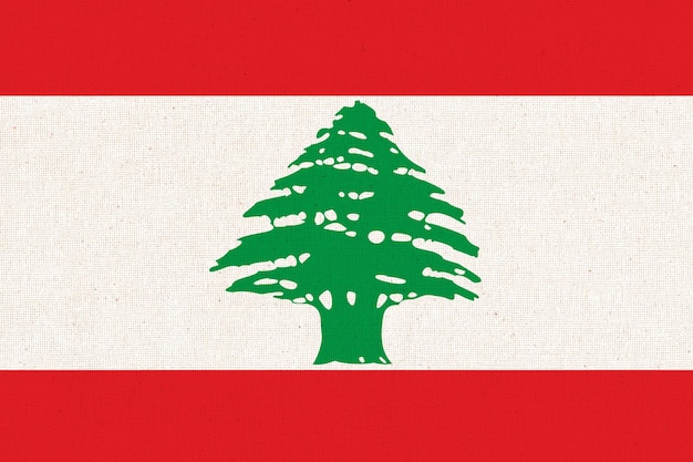 PACTEF_LES PATRIOTES tweet media