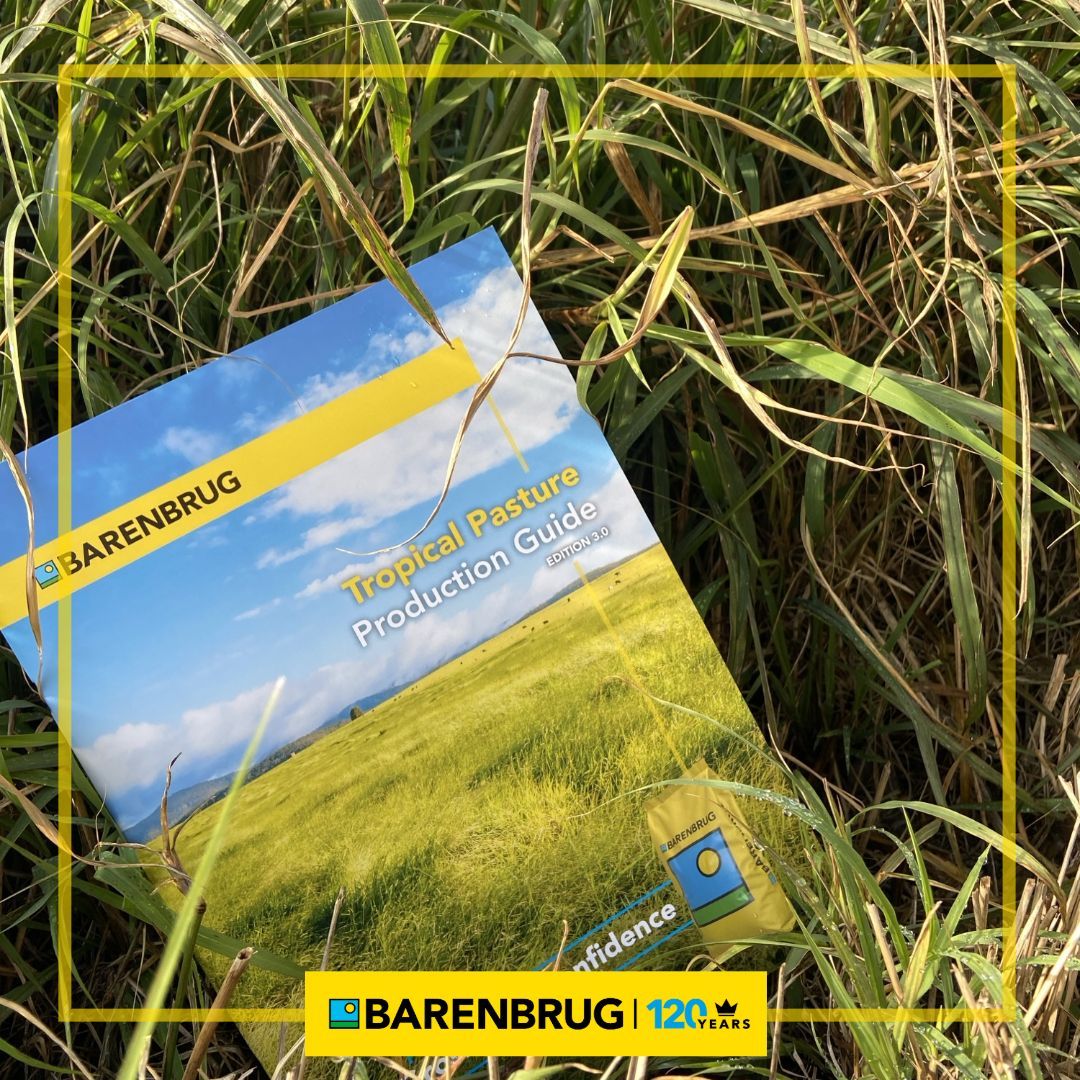 Have you seen our updated Tropical Pasture Guide? 🌾🐮
Designed to help you select and establish productive summer pastures tailored to tropical and subtropical regions of Australia. 
buff.ly/ctnQZqE 

#GrowWithConfidence