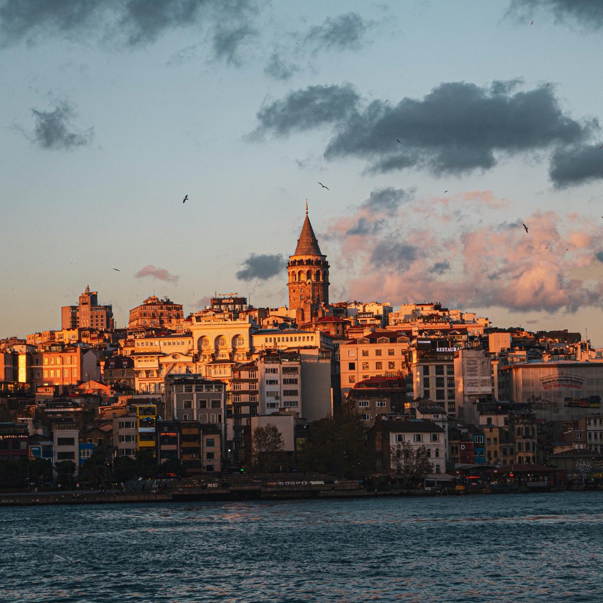 bosunatiklama's tweet image. SON DAKİKA | İstanbul&apos;da sokak köpeklerini &apos;kontrolsüz şekilde&apos; beslemek yasaklandı.