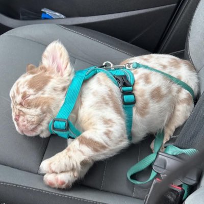 Kfmartinez5's tweet photo. #NewProfilePic https://t.co/gqXdwPEf6j