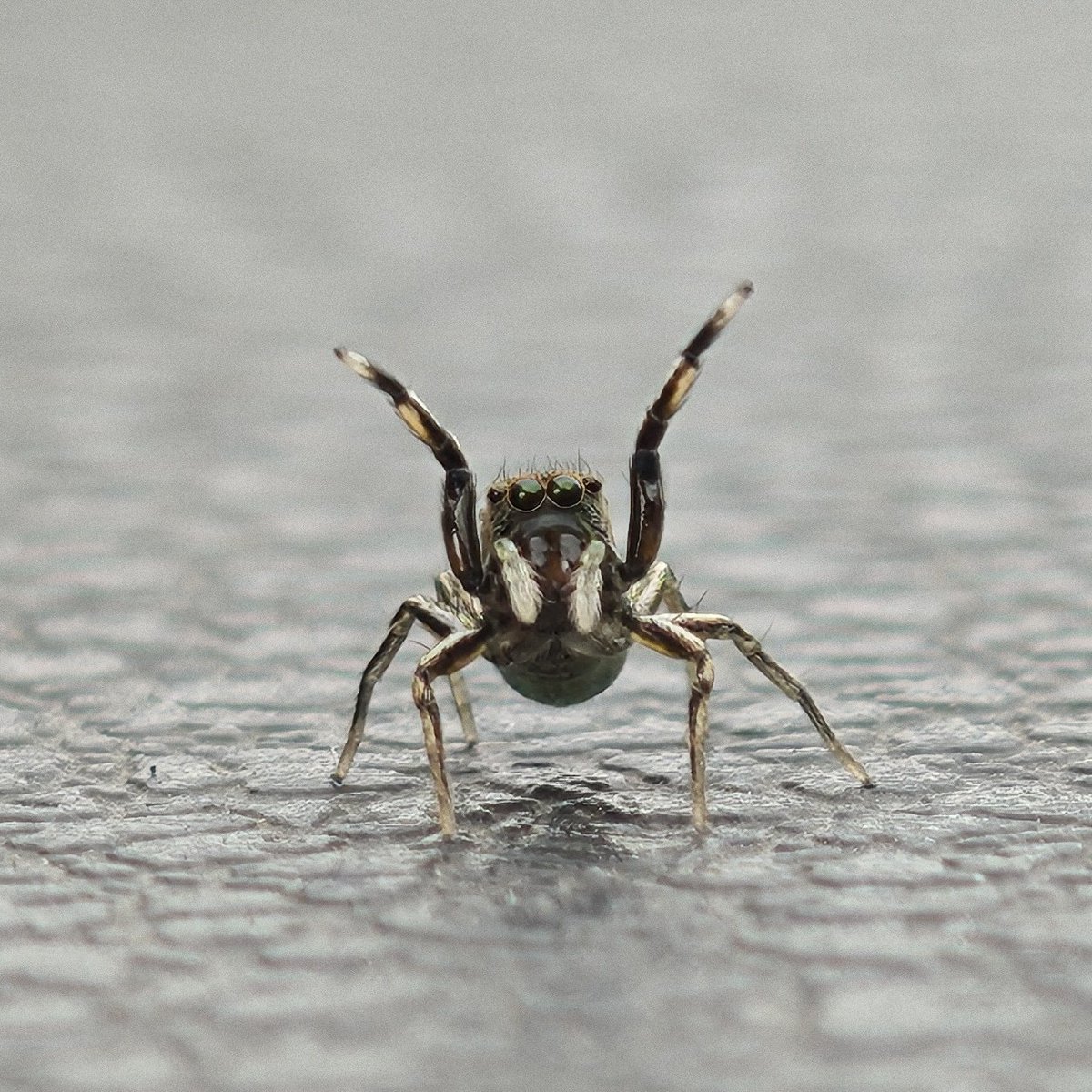 #WithNothing Phone (3)
<a href="/nothing/">Nothing</a> 

#Nothing #NothingCommunity