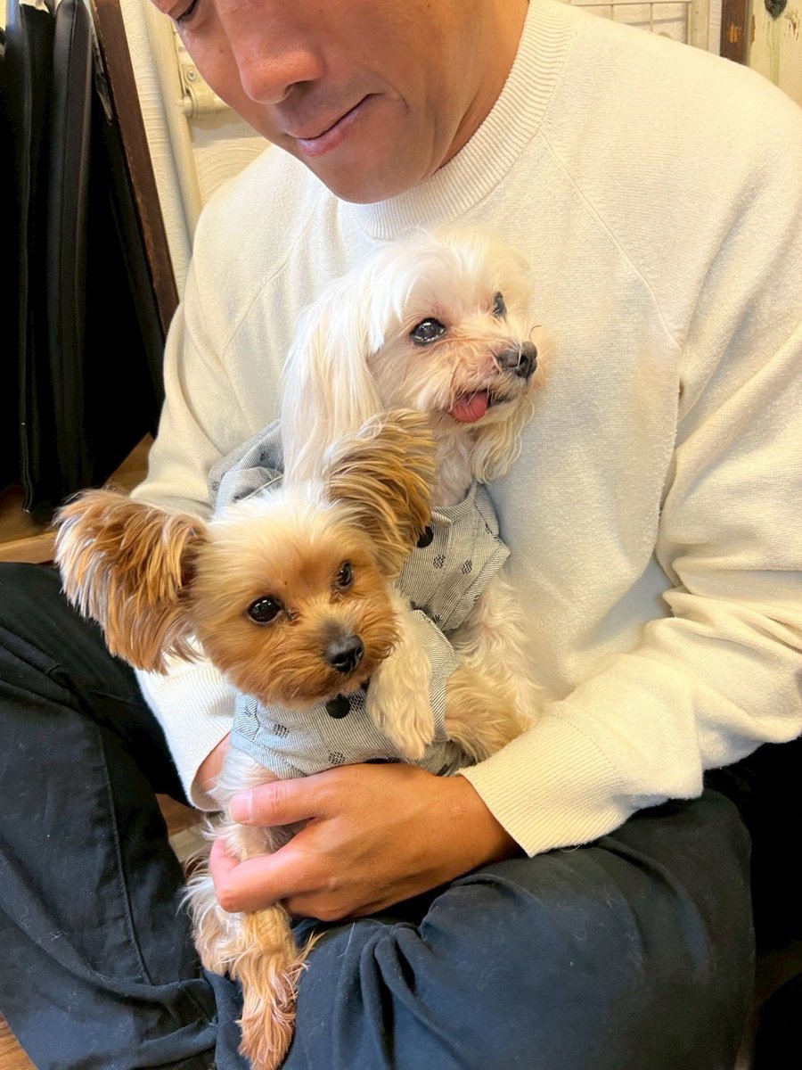 クレイジーJ ジェイ DJJ tweet media