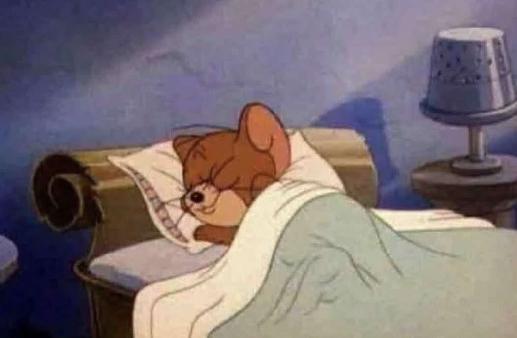 "Dicen que uno siempre regresa a donde fue feliz"
- Yo, a cada rato regresando a mi cama a dormir