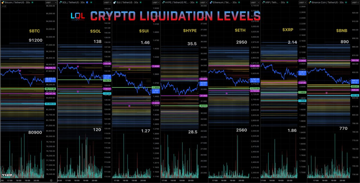 BTC, SOL, SUI, HYPE, SETH, XRP, BNB의 암호화폐 청산 레벨 차트