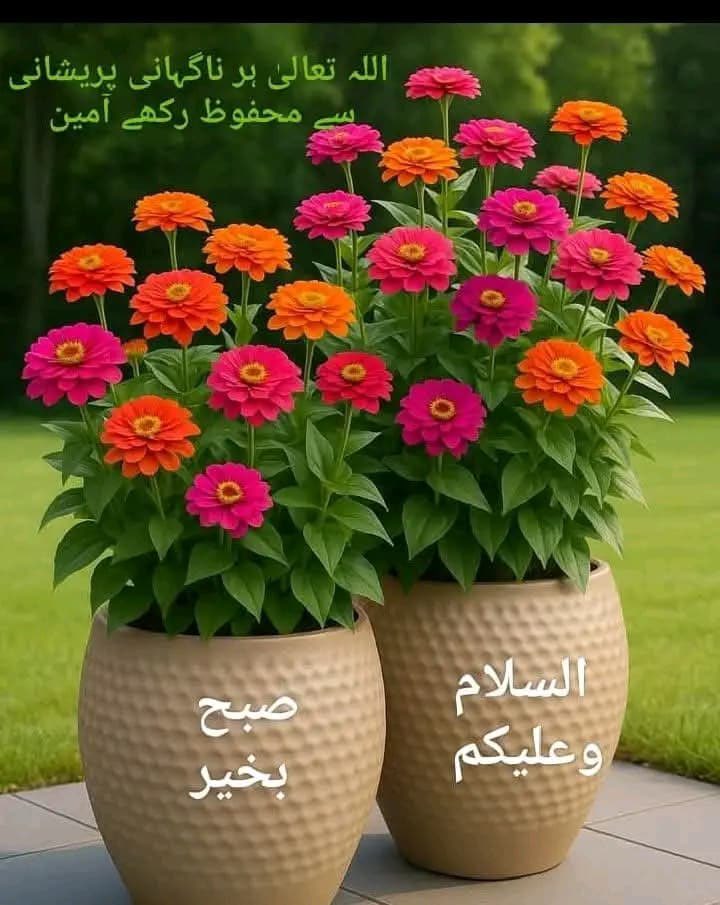 shahista210's tweet image. The happiest people 
don’t have the best 
of everything , 
they just make 
the best of everything
#mondaythoughts 
Asslam Alikum friends 
Good morning 
✍️📕☕️🍫🥮🍩