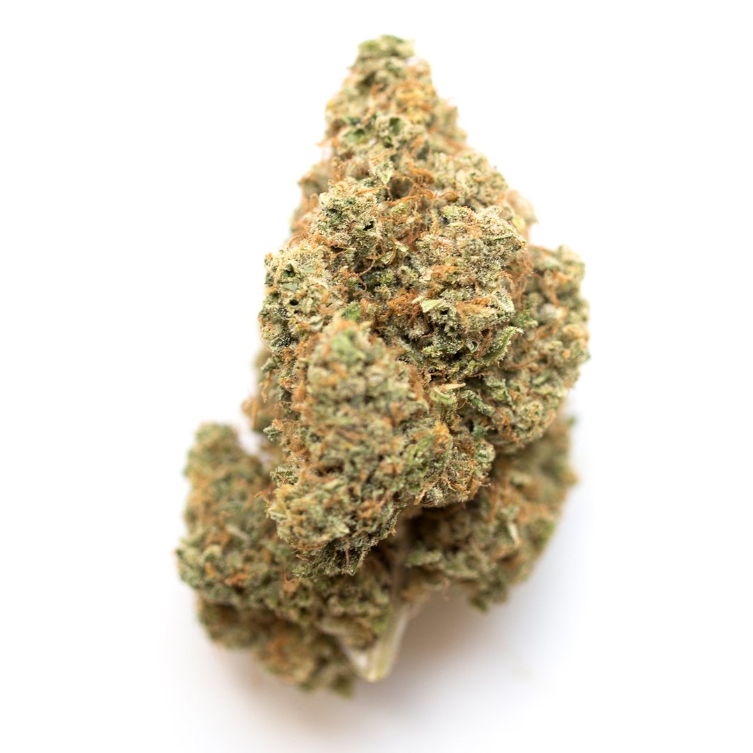 Compani237's tweet photo. Cali Kush is a hybrid marijuana strain known to provide uplifting, energizing effects. This strain offers fruity and citrus flavors with spicy hints of coffee and kush. Cali Kush gets its name from the popularity of Kush varieties in its namesake state. https://t.co/RlHM3HsAJ5