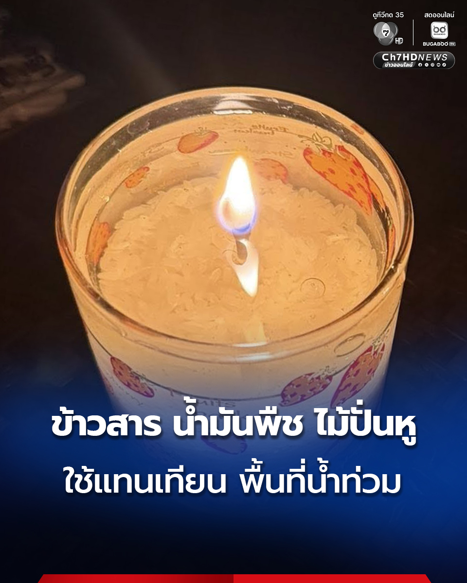 Ch7HD's tweet image. #น้ำท่วมหาดใหญ่ สวท.สงขลา แบ่งปันวิธีทำเทียนใช้ ในพื้นที่น้ำท่วมไฟดับ ดังนี้
.
อุปกรณ์ : แก้ว (ที่ไม่ใช่พลาสิก) , ข้าวสาร หรือ ดิน , น้ำ , น้ำมันพืช , สำลีก้าน ไม้ปั่นหู (คอตตอนบัด)
.
วิธีทำ :
1. นำข้าวสารหรือดินใส่แก้ว
2. เทน้ำท่วมข้าวสาร
3. เทน้ำมันพืช
4. ไม้ปั่นหูปักลงตรงกลาง…