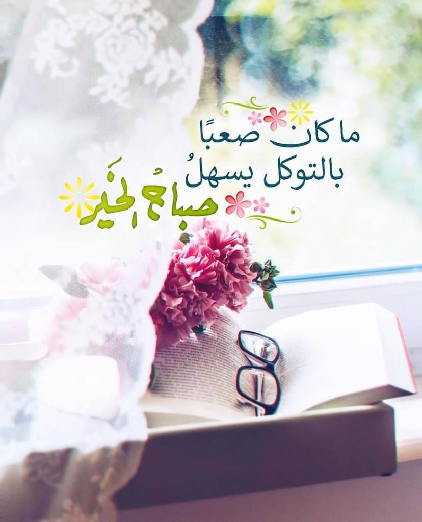 algreeb882's tweet image. 