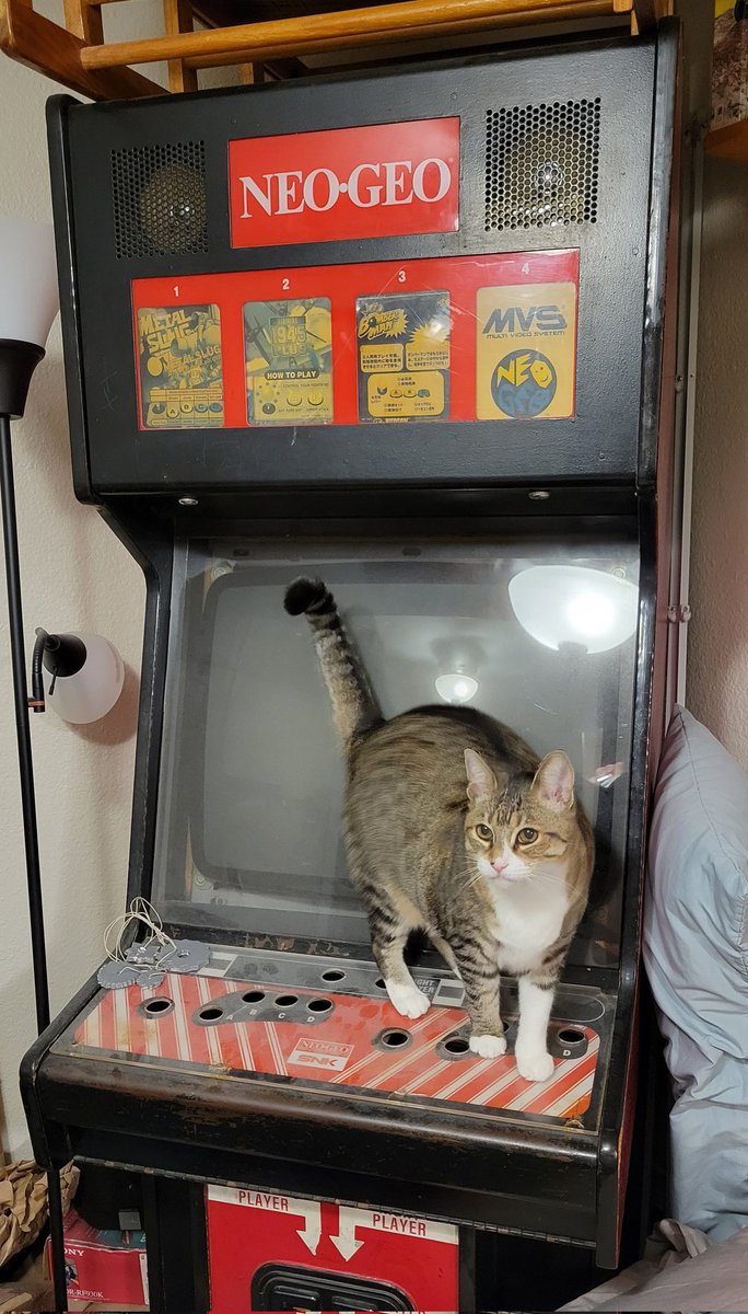 Vectrex4Life tweet media