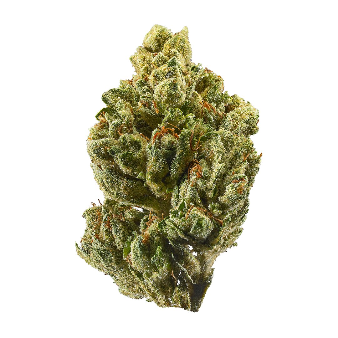 Compani237's tweet photo. OG Kush, also known as "Premium OG Kush," was first cultivated in Florida in the early ‘90s when a marijuana strain from Northern California was supposedly crossed with Chemdawg, Lemon Thai and a Hindu Kush plant from Amsterdam. https://t.co/g3zzCYPip0