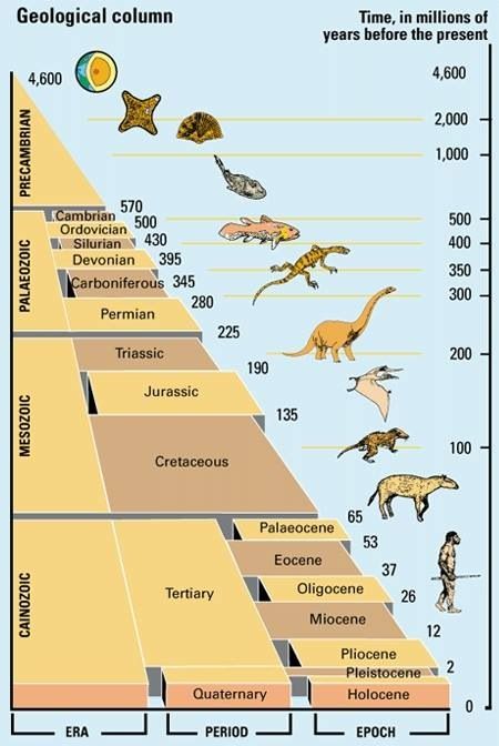 narottamsahoo's tweet image. 24 November marks a defining moment in the history of science - the publication of #CharlesDarwin’s On the Origin of Species, a masterpiece that forever changed how humanity understands life, evolution, and the interconnectedness of all living beings.

This groundbreaking work…