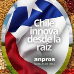 Photo by Anpros Semillas de Chile (@anpros)