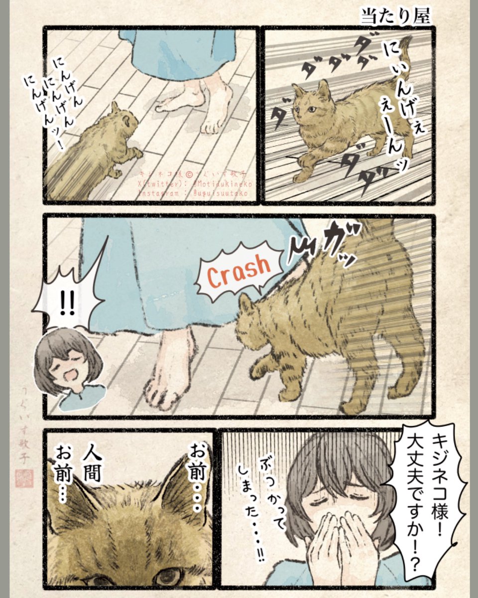 Motidukineko's tweet image. 人間めぇ・・・