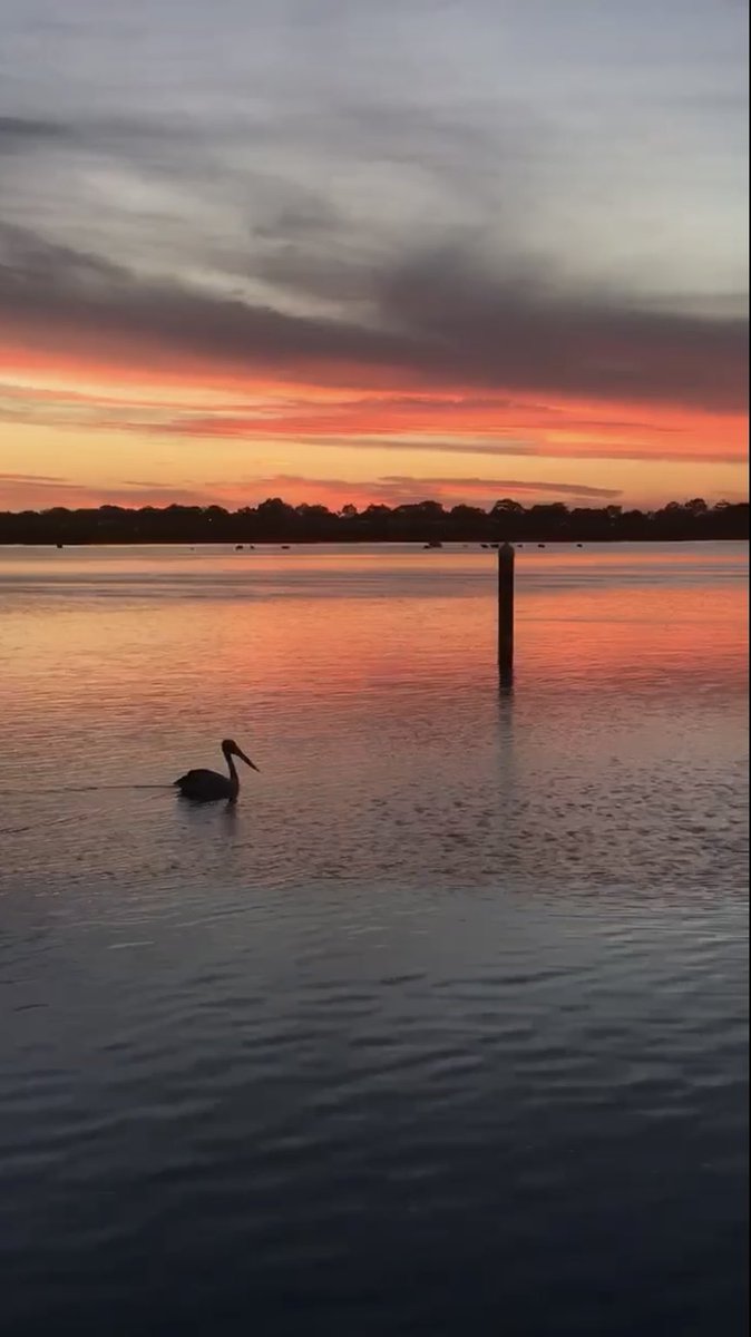 aparachick's tweet image. Nature. Let’s look after it, so that it looks after us.