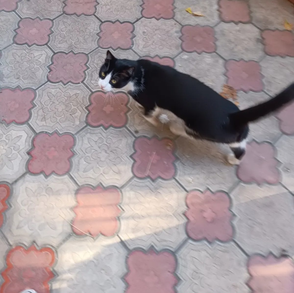 emretekinns01's tweet image. ✨ These are some crazy Photos / Pictures from our crazy Phone (Ain&apos;t no Joke.) 💫😊😇😇😇✨🙋🏻🥰🥰❣️😇😇😇🤲🤲🤲  #post #posts #story #stories #love #loves #live #lives #photo #photos #picture #pictures