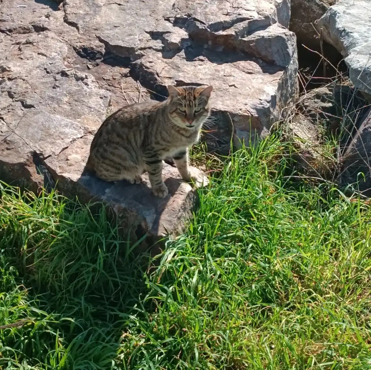 emretekinns01's tweet image. ✨ These are some crazy Photos / Pictures from our crazy Phone (Ain&apos;t no Joke.) 💫😊😇😇😇✨🙋🏻🥰🥰❣️😇😇😇🤲🤲🤲  #post #posts #story #stories #love #loves #live #lives #photo #photos #picture #pictures