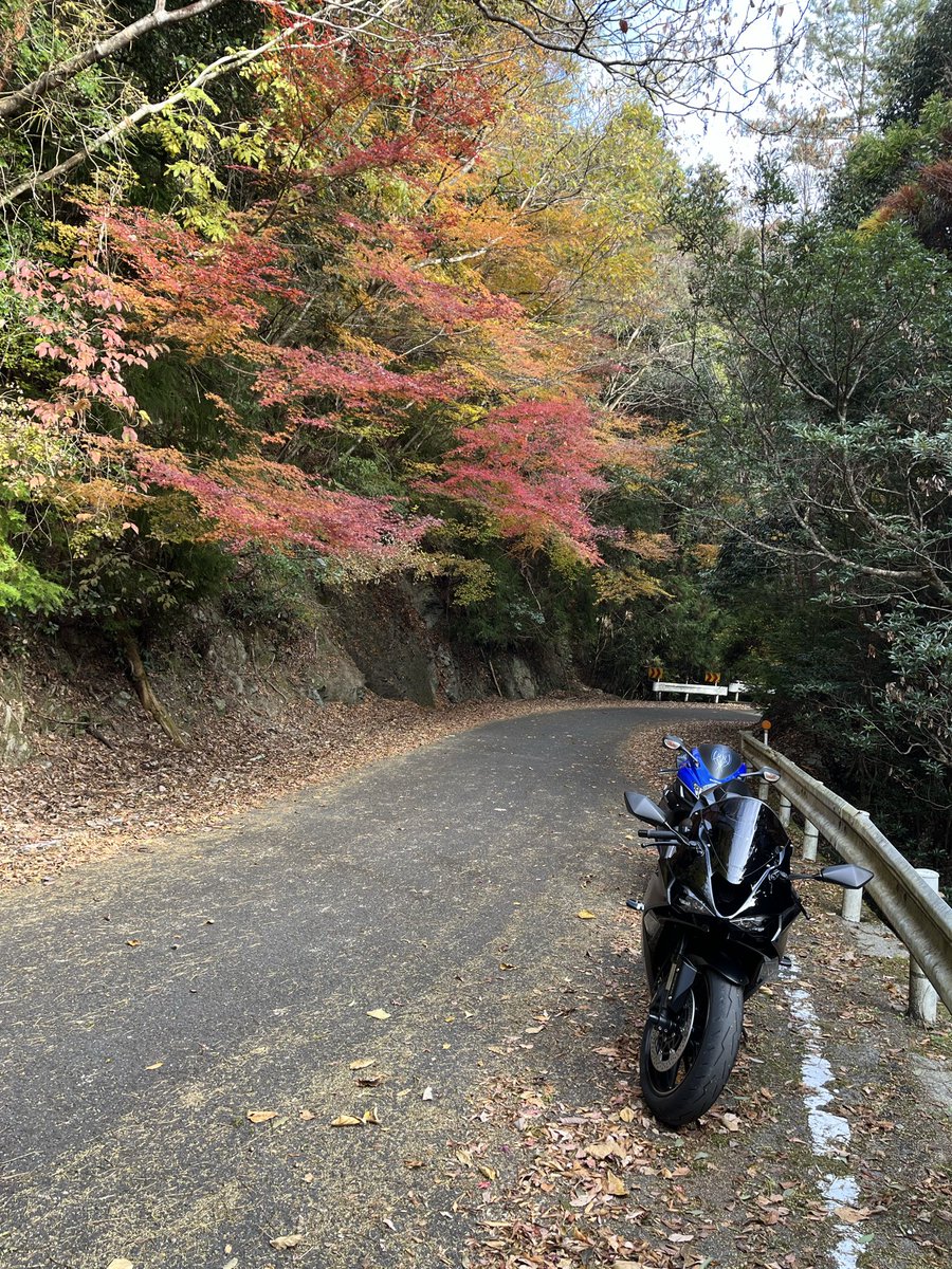 ともやん@ZX-6R (@sudachi_zx636) / Posts / X