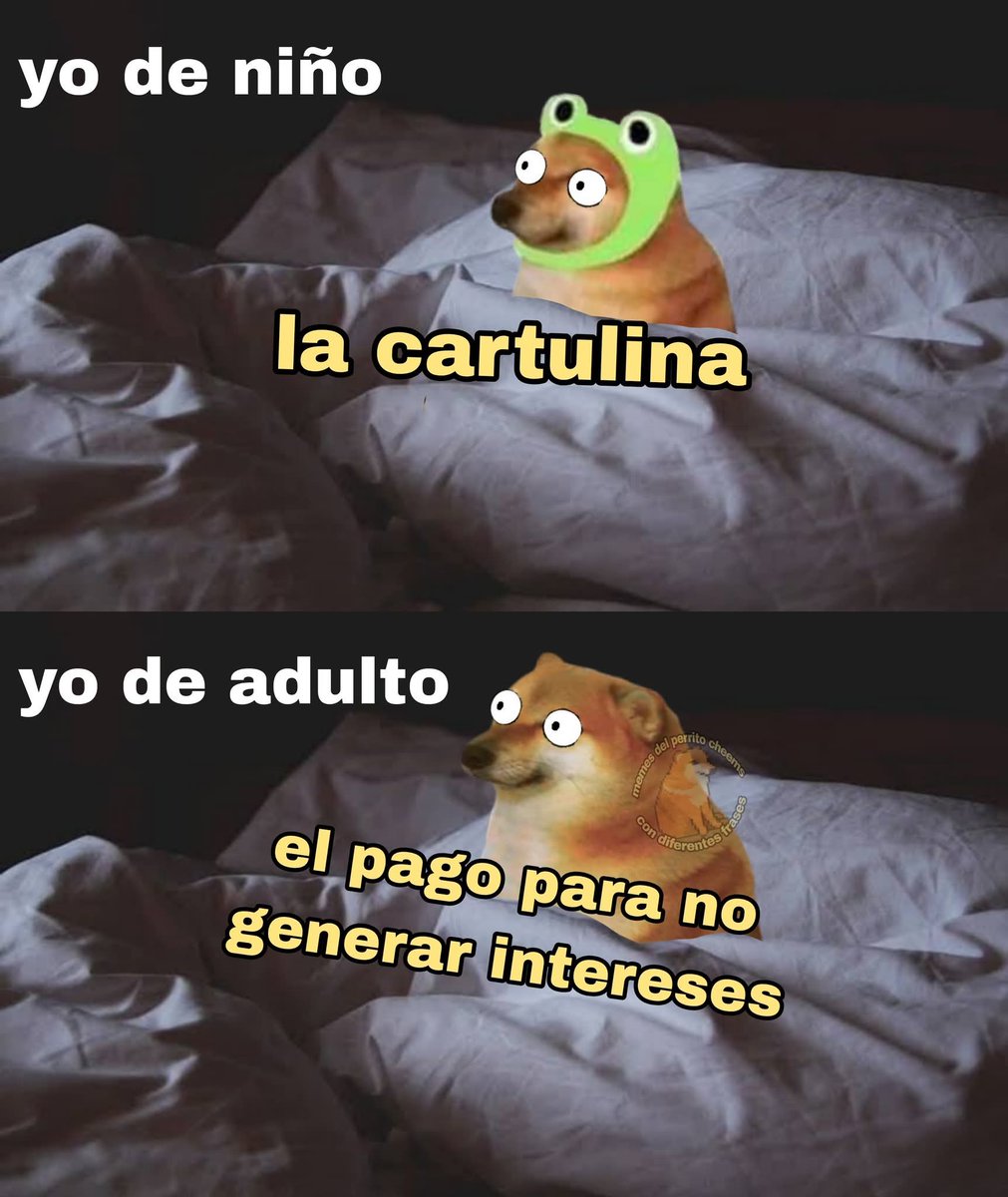 TuzitaXtuitera's tweet image. 