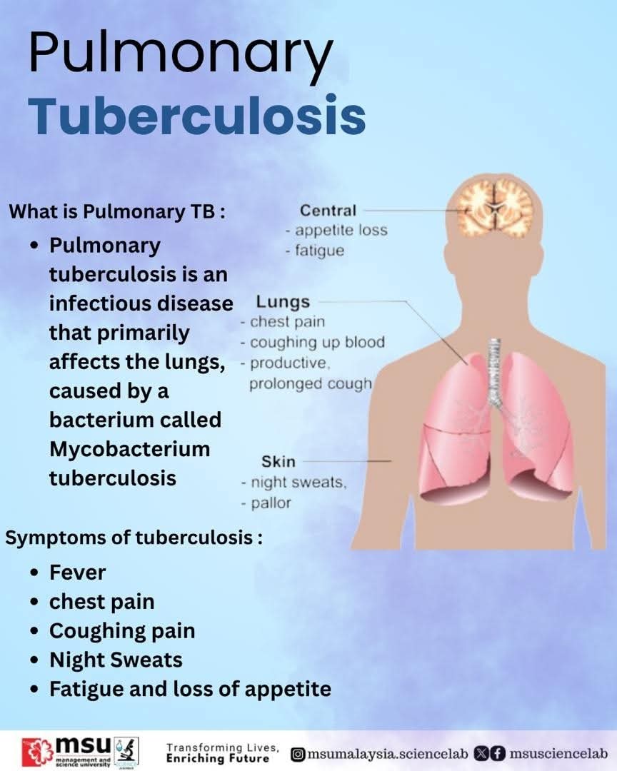 MSUsciencelab's tweet image. Understanding Pulmonary Tuberculosis is essential for early diagnosis and prevention. 🫁🦠

This poster highlights what TB is and the common symptoms you shouldn’t ignore. Let’s work together to raise awareness and encourage timely treatment #MSUrians .🌱💪🏻

#MSUScienceLab