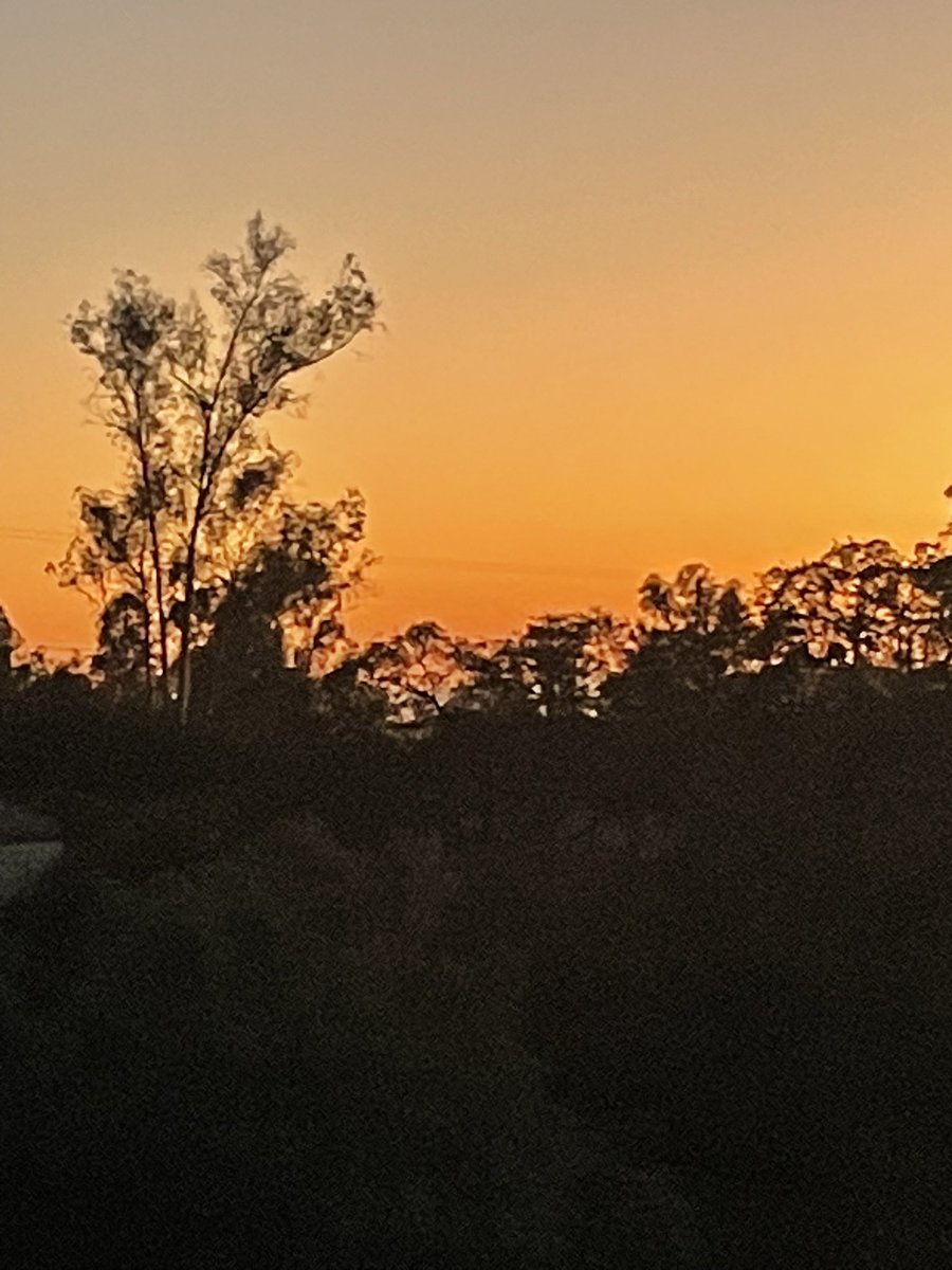 Sheri Lynn tweet media