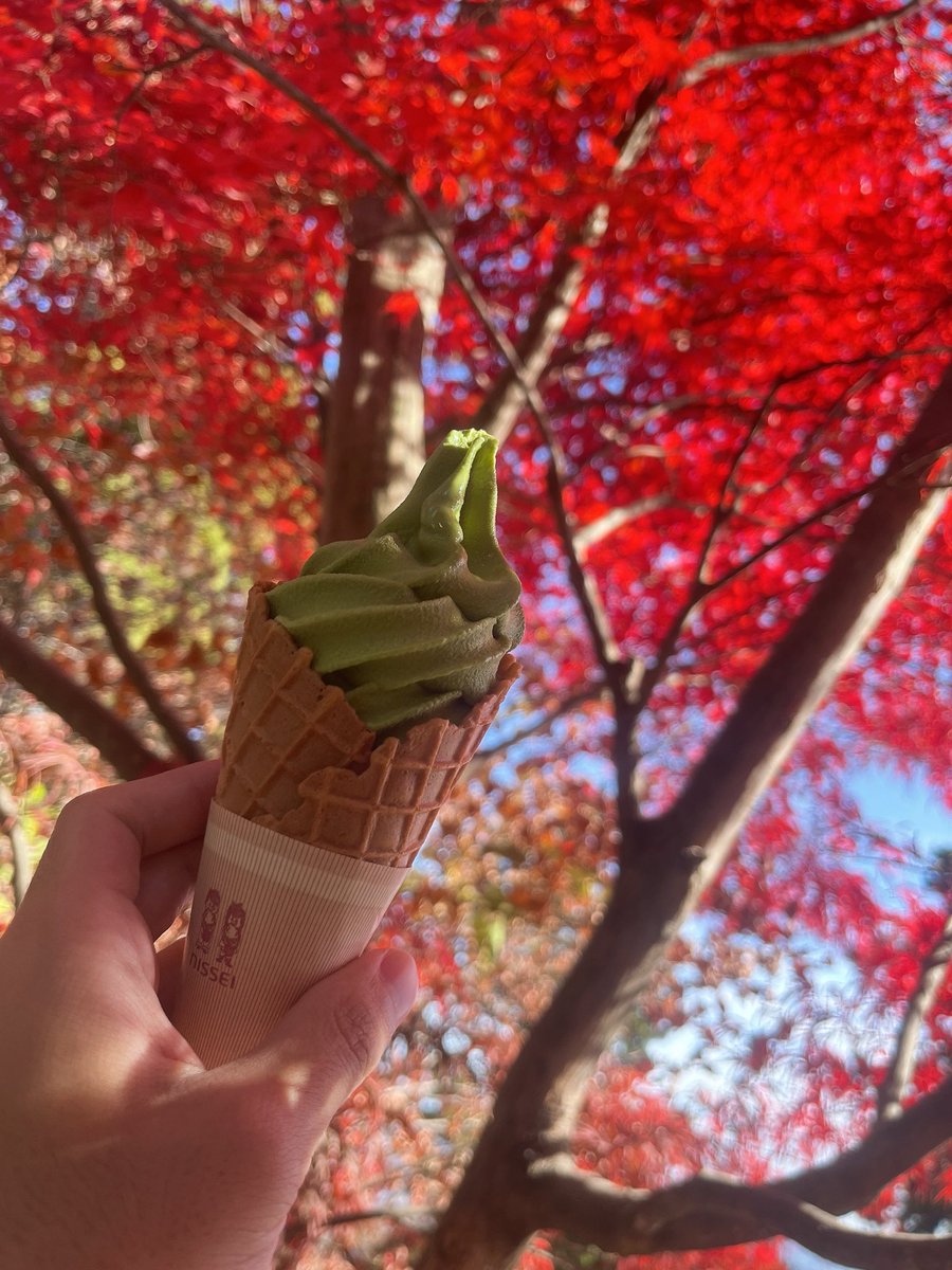 Rekka【れっか】 tweet media