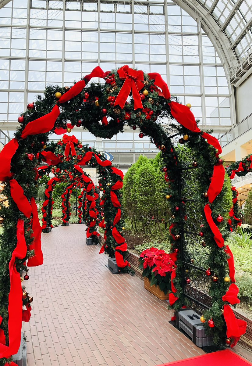 sapporofactory_'s tweet image. こちらは #アトリウム の #クリスマスアーチ です🎄🎀
お昼と夜で雰囲気が変わり、どちらも思わず写真を撮りたくなるような美しさです✨
アーチの下をくぐれば、ゴージャスな雰囲気を味わうことができます🎅🏻🌟

#サッポロファクトリー
#クリスマス