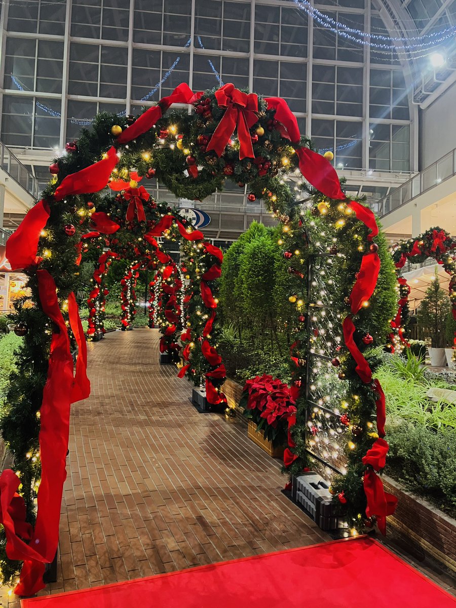 sapporofactory_'s tweet image. こちらは #アトリウム の #クリスマスアーチ です🎄🎀
お昼と夜で雰囲気が変わり、どちらも思わず写真を撮りたくなるような美しさです✨
アーチの下をくぐれば、ゴージャスな雰囲気を味わうことができます🎅🏻🌟

#サッポロファクトリー
#クリスマス