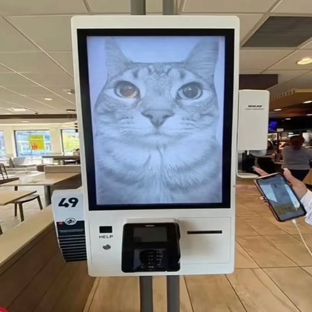 Punch Cat (@punchingcat) on Twitter photo 