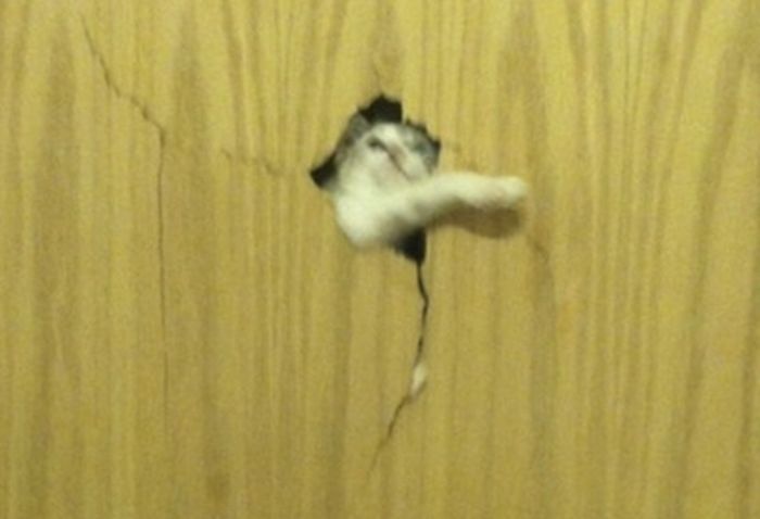moonillru1's tweet photo. 하 귀여어.. https://t.co/v1Ewdf3qtc