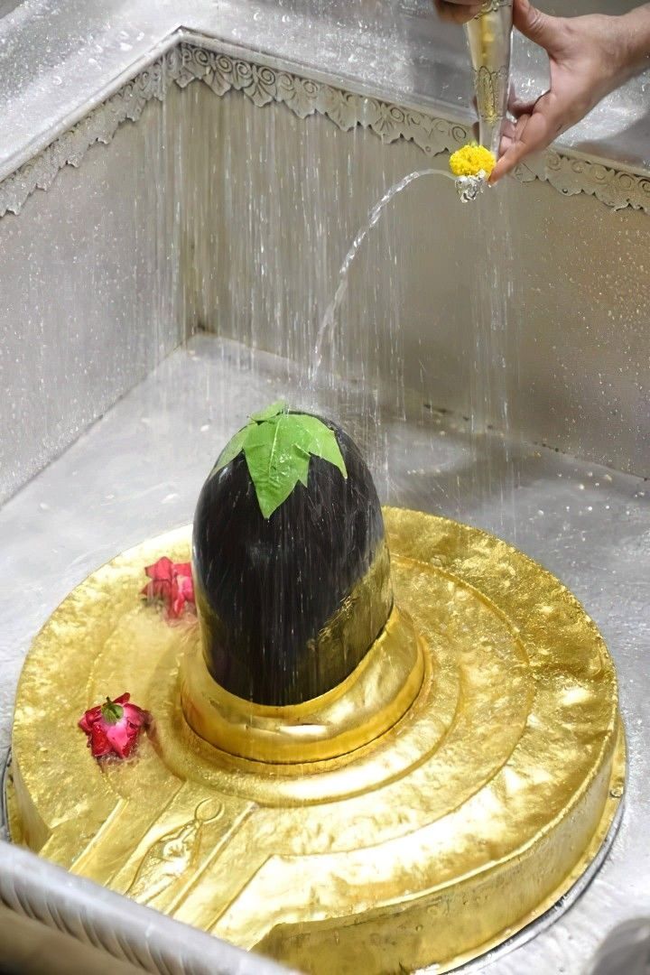 MYogiDevnath's tweet image. ॐ त्र्यम्बकं यजामहे सुगन्धिं पुष्टिवर्धनम्।
उर्वारुकमिव बन्धनान्मृत्योर्मुक्षीय माऽमृतात्||
हर हर महादेव 🚩